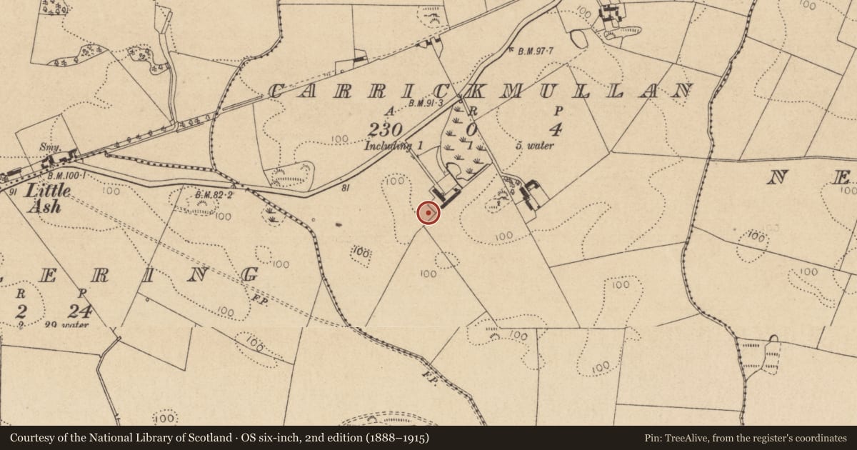 Ordnance Survey six-inch map, 2nd edition (1888–1915) covering the location of Souterrain, Carrickmullan, County Louth, with a pin at the register's coordinates