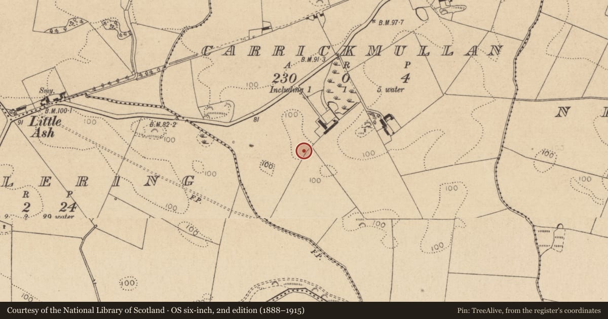 Ordnance Survey six-inch map, 2nd edition (1888–1915) covering the location of Souterrain, Carrickmullan, County Louth, with a pin at the register's coordinates