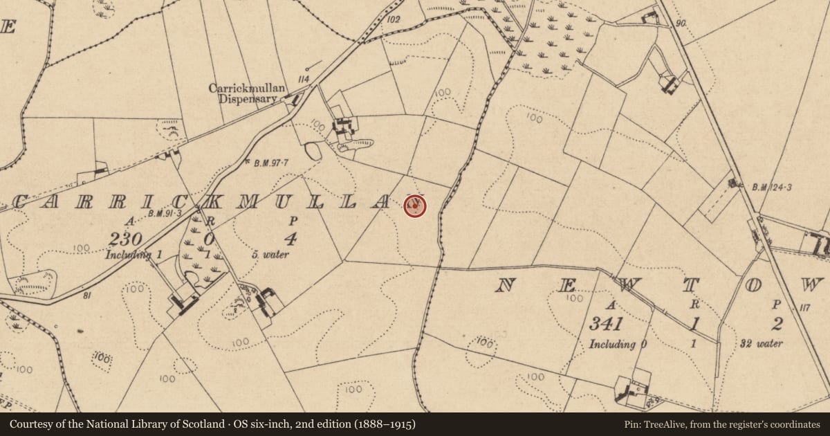 Ordnance Survey six-inch map, 2nd edition (1888–1915) covering the location of Enclosure, Carrickmullan, County Louth, with a pin at the register's coordinates