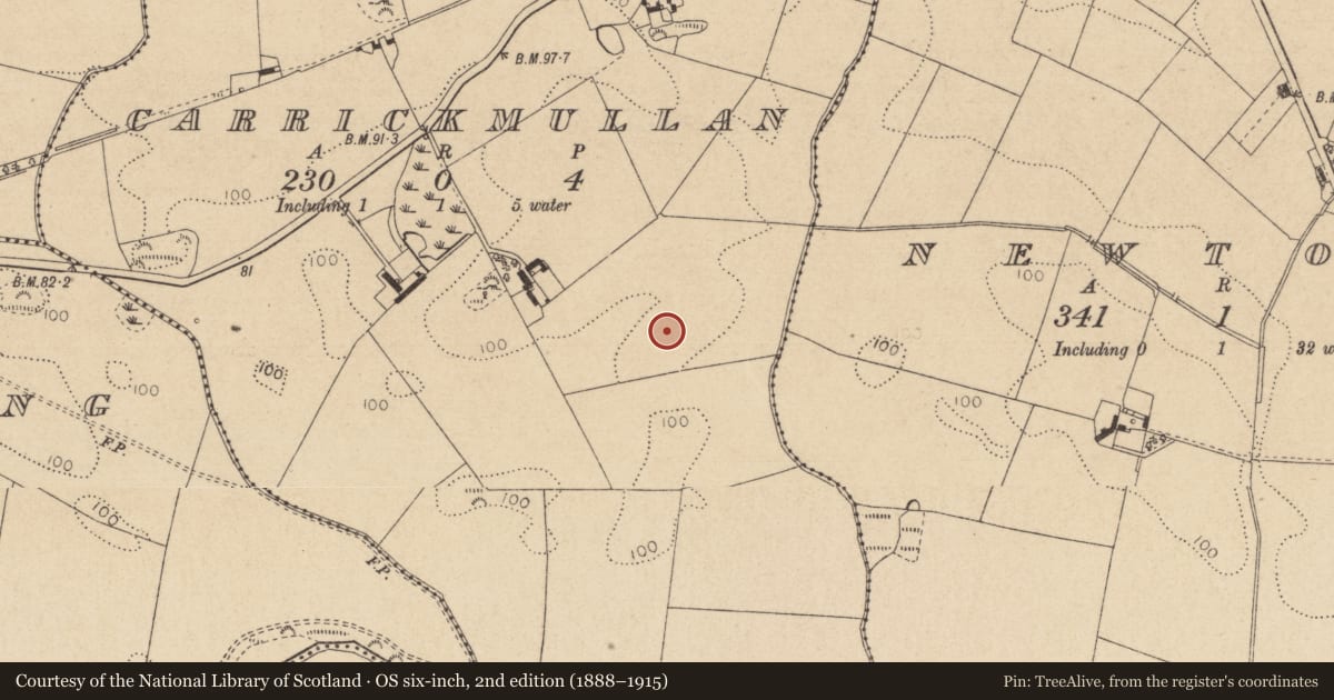 Ordnance Survey six-inch map, 2nd edition (1888–1915) covering the location of Enclosure, Carrickmullan, County Louth, with a pin at the register's coordinates
