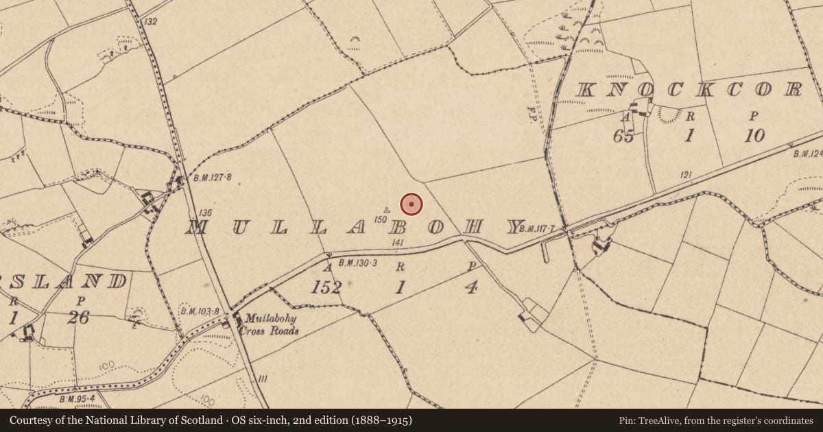 Ordnance Survey six-inch map, 2nd edition (1888–1915) covering the location of Enclosure, Mullabohy, County Louth, with a pin at the register's coordinates