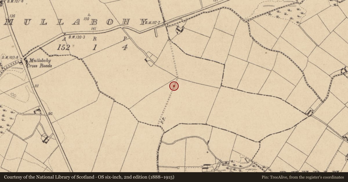Ordnance Survey six-inch map, 2nd edition (1888–1915) covering the location of Ring-ditch, Mullabohy, County Louth, with a pin at the register's coordinates