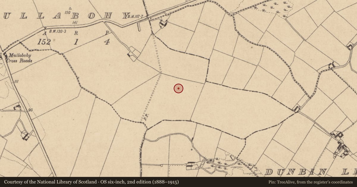 Ordnance Survey six-inch map, 2nd edition (1888–1915) covering the location of Ring-ditch, Mullabohy, County Louth, with a pin at the register's coordinates