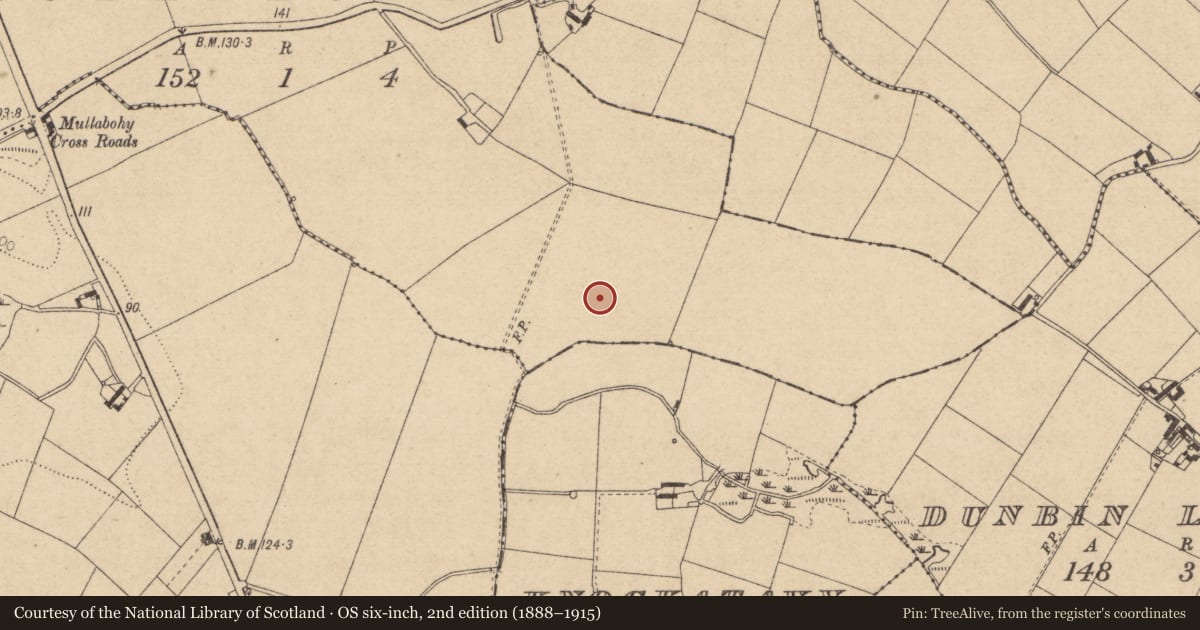 Ordnance Survey six-inch map, 2nd edition (1888–1915) covering the location of Ring-ditch, Mullabohy, County Louth, with a pin at the register's coordinates