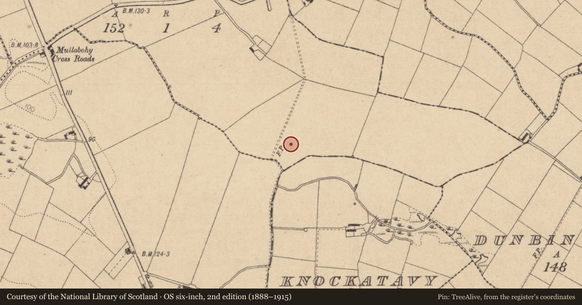 Ordnance Survey six-inch map, 2nd edition (1888–1915) covering the location of Ring-ditch, Mullabohy, County Louth, with a pin at the register's coordinates