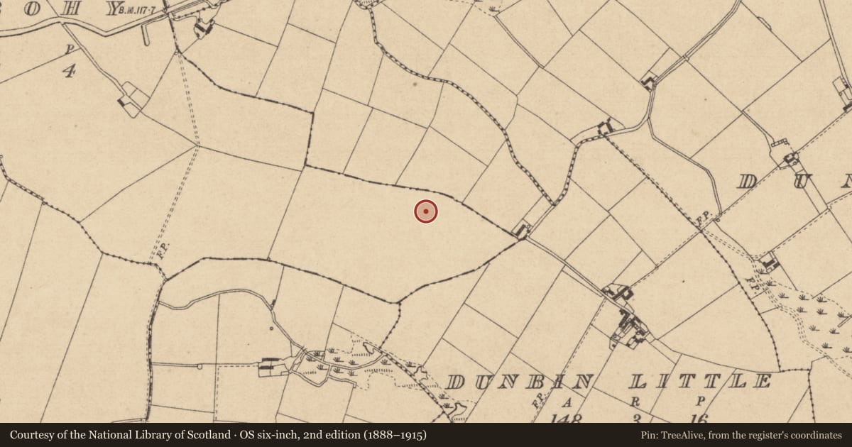 Ordnance Survey six-inch map, 2nd edition (1888–1915) covering the location of Enclosure, Mullabohy, County Louth, with a pin at the register's coordinates