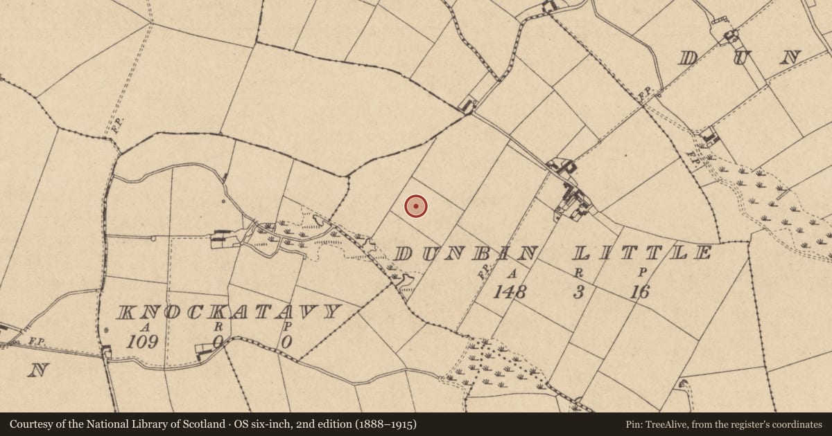 Ordnance Survey six-inch map, 2nd edition (1888–1915) covering the location of Ring-ditch, Dunbin Little, County Louth, with a pin at the register's coordinates