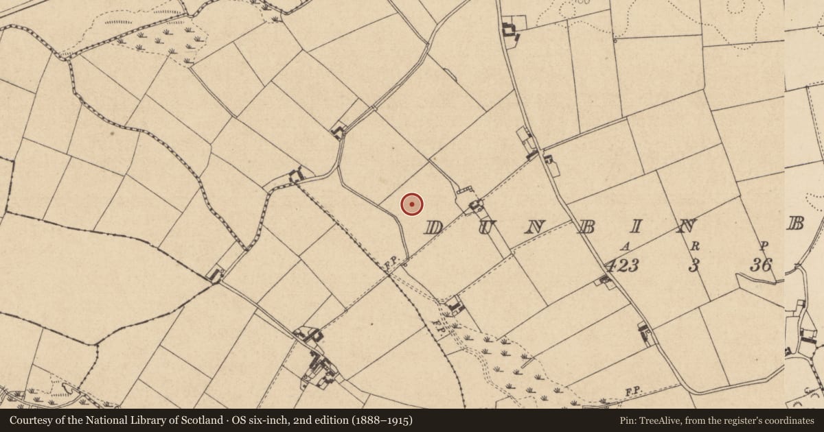 Ordnance Survey six-inch map, 2nd edition (1888–1915) covering the location of Souterrain, Dunbin Big, County Louth, with a pin at the register's coordinates