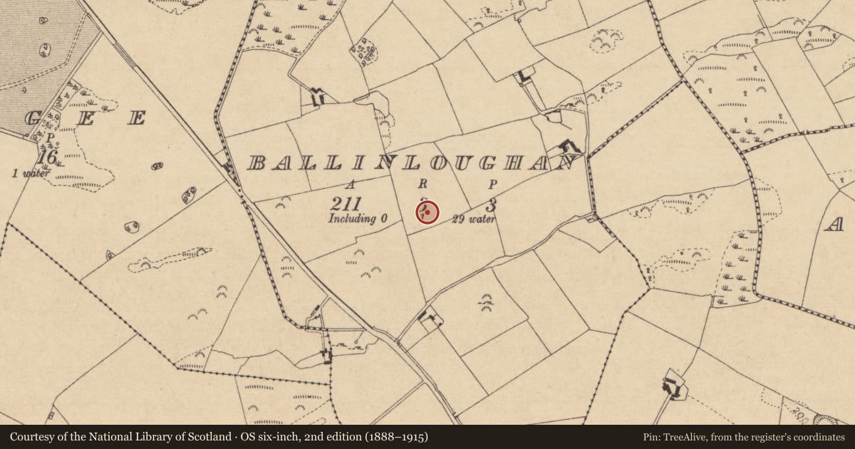 Ordnance Survey six-inch map, 2nd edition (1888–1915) covering the location of Souterrain, Ballinloughan, County Louth, with a pin at the register's coordinates