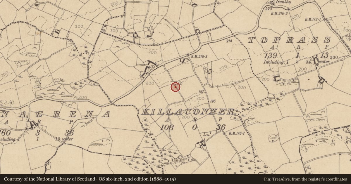 Ordnance Survey six-inch map, 2nd edition (1888–1915) covering the location of Cross-slab, Killaconner, County Louth, with a pin at the register's coordinates