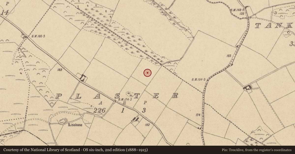 Ordnance Survey six-inch map, 2nd edition (1888–1915) covering the location of Burial ground, Plaster (Dundalk Upr by, County Louth, with a pin at the register's coordinates