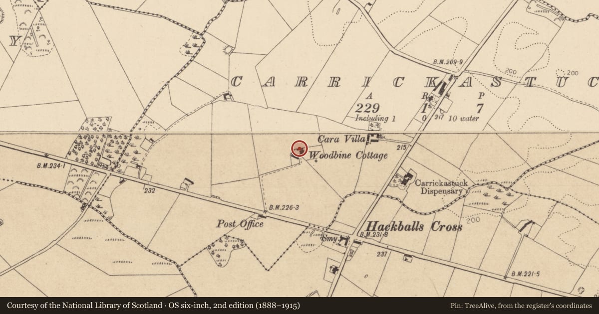 Ordnance Survey six-inch map, 2nd edition (1888–1915) covering the location of Souterrain, Carrickastuck, County Louth, with a pin at the register's coordinates