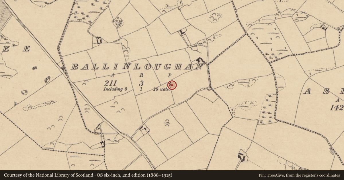 Ordnance Survey six-inch map, 2nd edition (1888–1915) covering the location of Souterrain, Ballinloughan, County Louth, with a pin at the register's coordinates