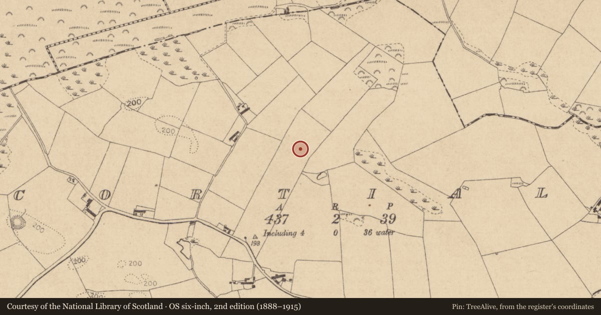 Ordnance Survey six-inch map, 2nd edition (1888–1915) covering the location of Souterrain, Cortial, County Louth, with a pin at the register's coordinates