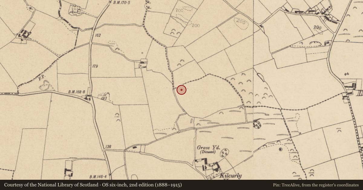 Ordnance Survey six-inch map, 2nd edition (1888–1915) covering the location of Souterrain, Kilcurly, County Louth, with a pin at the register's coordinates