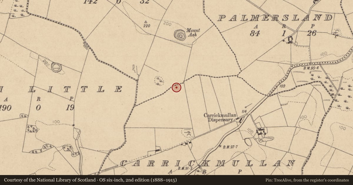 Ordnance Survey six-inch map, 2nd edition (1888–1915) covering the location of Graveyard, Ash Big, Carrickmullan, County Louth, with a pin at the register's coordinates
