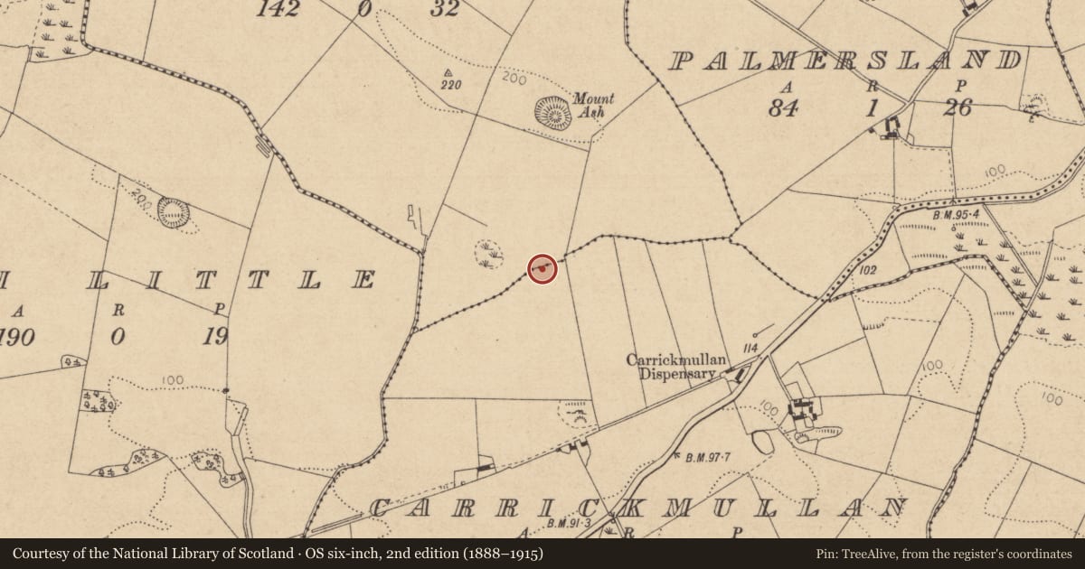Ordnance Survey six-inch map, 2nd edition (1888–1915) covering the location of Church, Ash Big, Carrickmullan, County Louth, with a pin at the register's coordinates