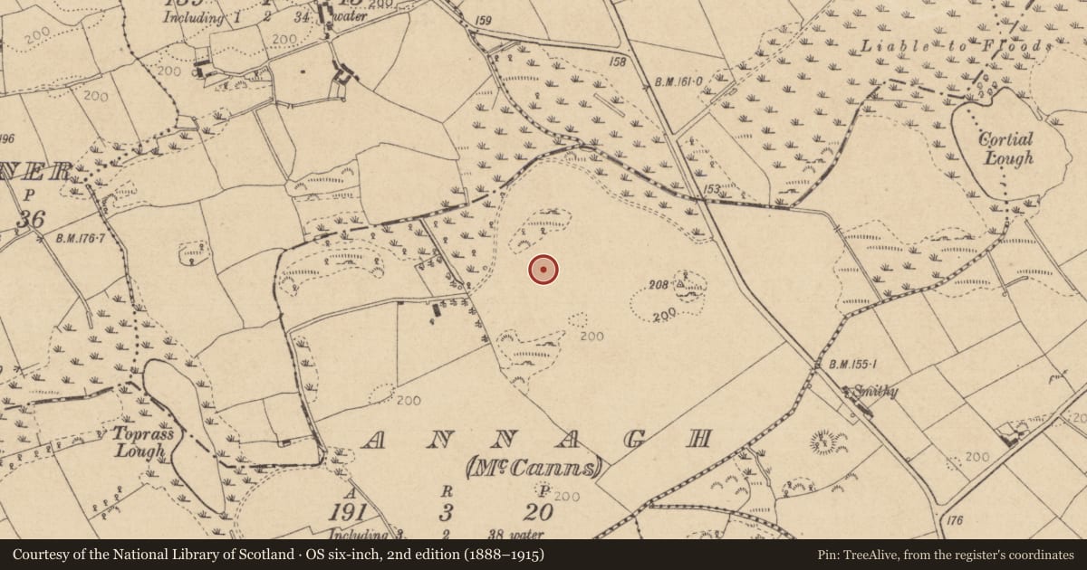 Ordnance Survey six-inch map, 2nd edition (1888–1915) covering the location of Rock art, Annagh (Mc Canns), County Louth, with a pin at the register's coordinates