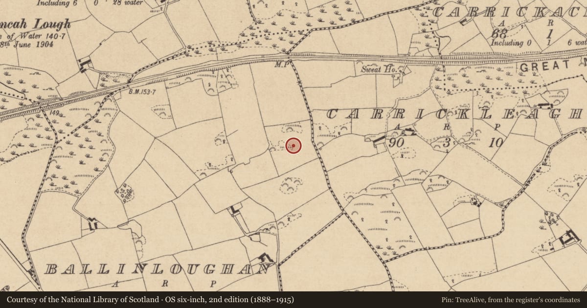 Ordnance Survey six-inch map, 2nd edition (1888–1915) covering the location of Rock art, Ballinloughan, County Louth, with a pin at the register's coordinates