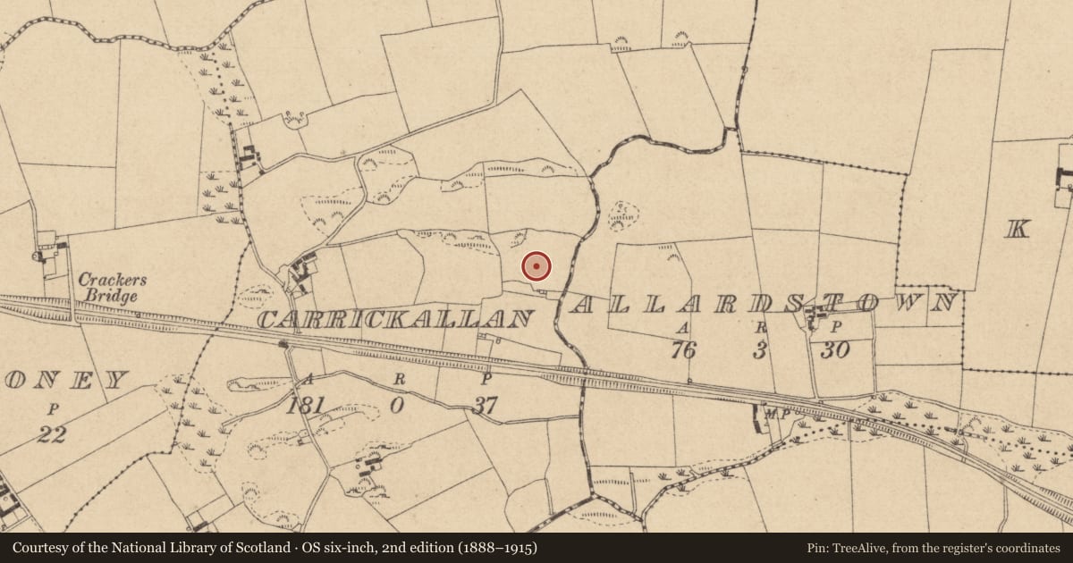 Ordnance Survey six-inch map, 2nd edition (1888–1915) covering the location of Rock art, Carrickallan, County Louth, with a pin at the register's coordinates