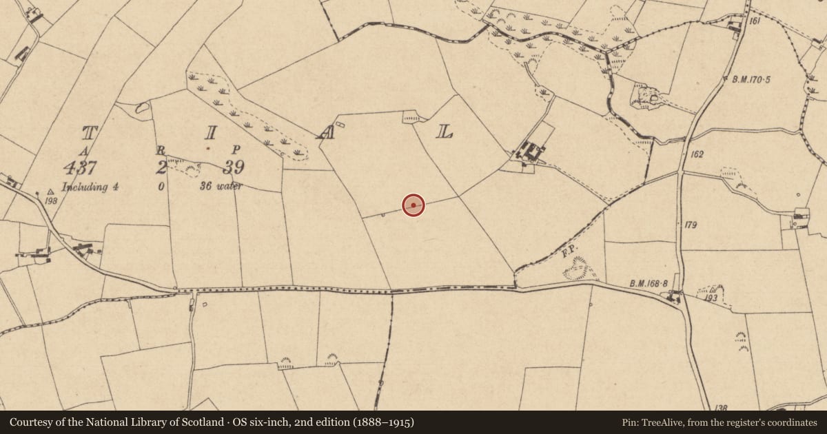 Ordnance Survey six-inch map, 2nd edition (1888–1915) covering the location of Rock art, Cortial, County Louth, with a pin at the register's coordinates