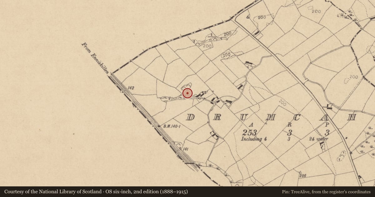 Ordnance Survey six-inch map, 2nd edition (1888–1915) covering the location of Rock art, Drumcah, County Louth, with a pin at the register's coordinates