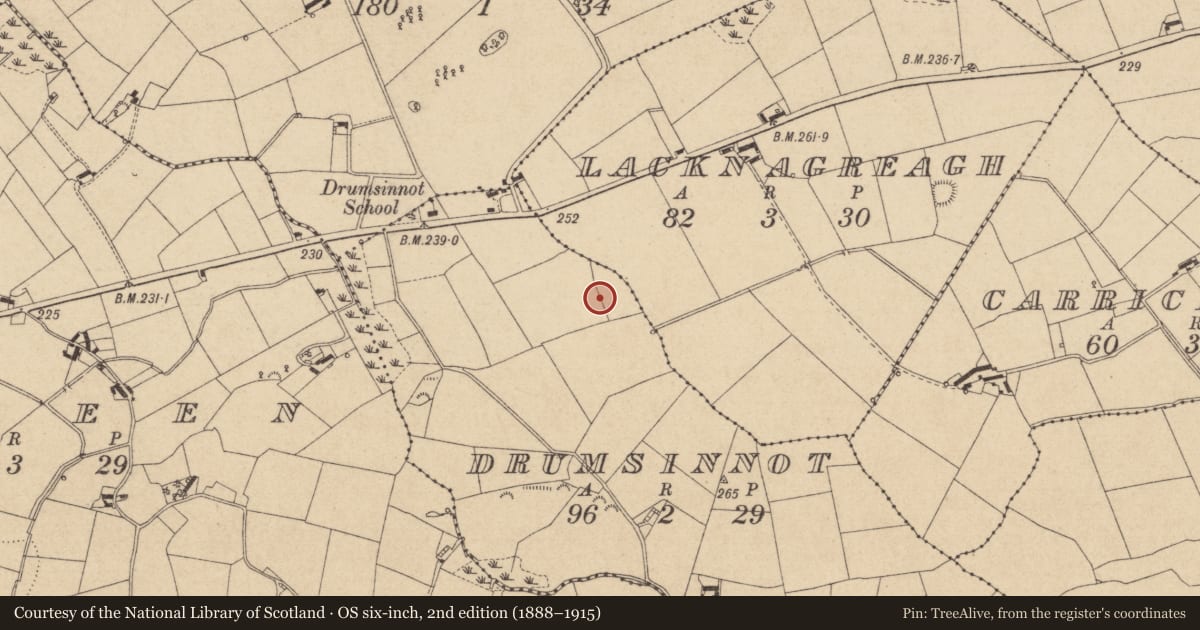 Ordnance Survey six-inch map, 2nd edition (1888–1915) covering the location of Rock art, Drumsinnot, County Louth, with a pin at the register's coordinates