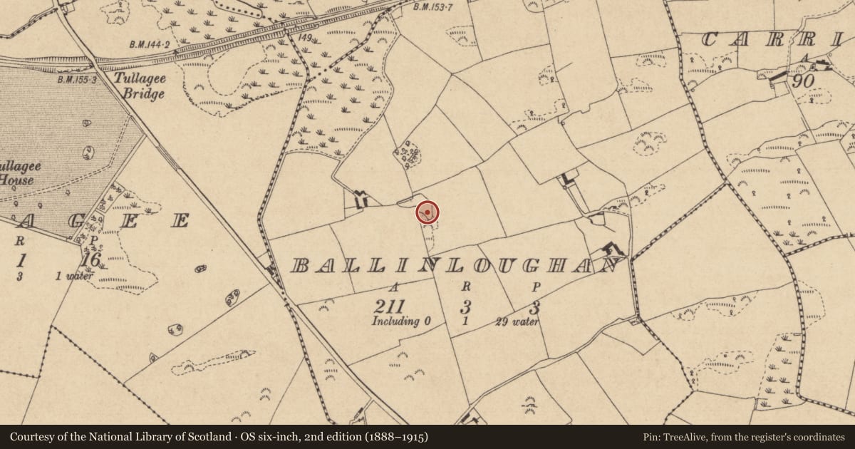 Ordnance Survey six-inch map, 2nd edition (1888–1915) covering the location of Souterrain, Ballinloughan, County Louth, with a pin at the register's coordinates