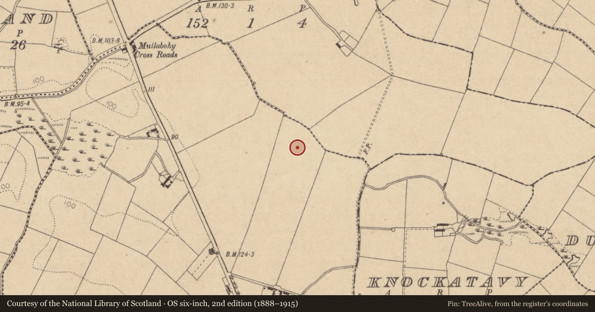 Ordnance Survey six-inch map, 2nd edition (1888–1915) covering the location of Enclosure, Newtown, County Louth, with a pin at the register's coordinates