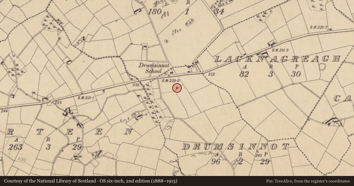 Ordnance Survey six-inch map, 2nd edition (1888–1915) covering the location of Rock art, Drumsinnot, County Louth, with a pin at the register's coordinates