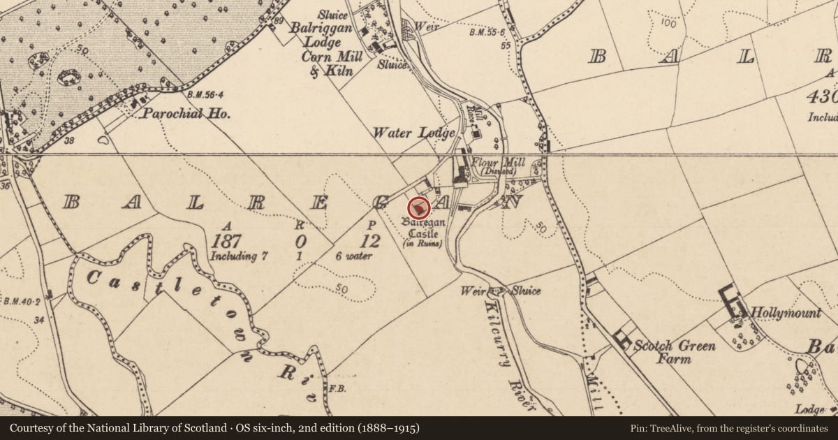 Ordnance Survey six-inch map, 2nd edition (1888–1915) covering the location of Castle - tower house, Balregan, County Louth, with a pin at the register's coordinates