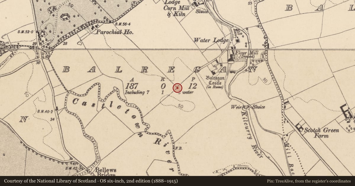 Ordnance Survey six-inch map, 2nd edition (1888–1915) covering the location of Souterrain, Balregan, County Louth, with a pin at the register's coordinates