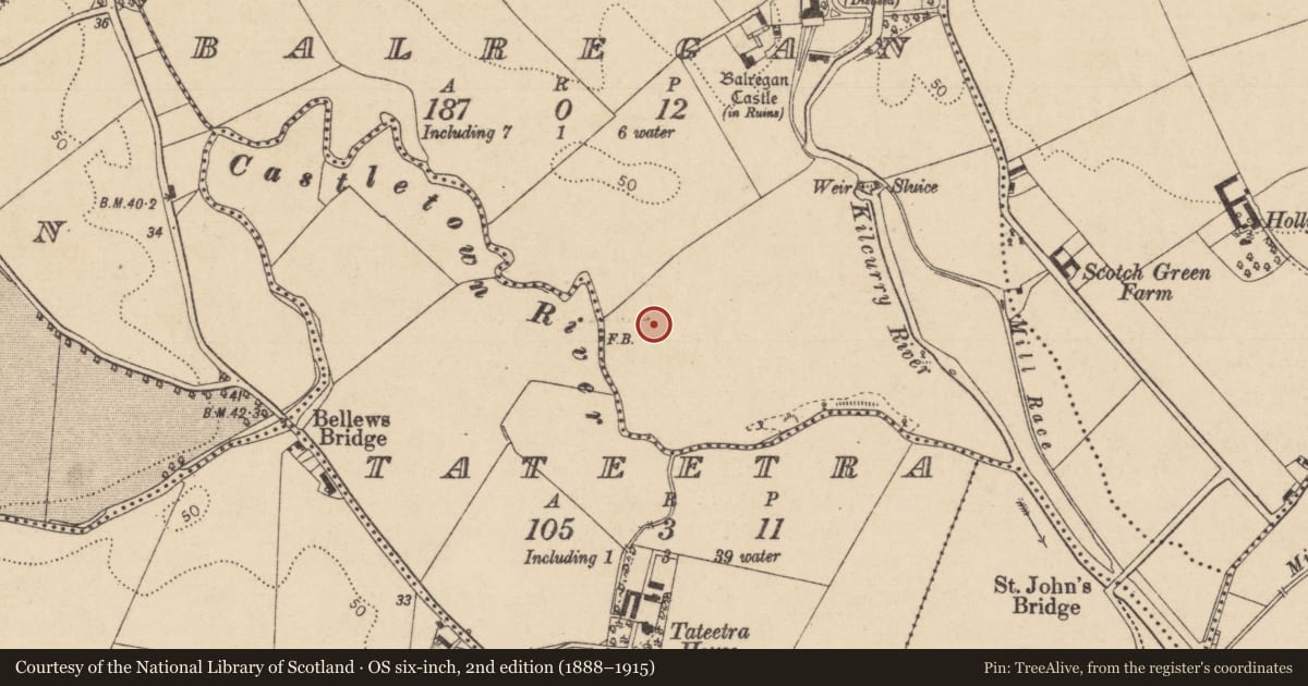 Ordnance Survey six-inch map, 2nd edition (1888–1915) covering the location of Stone circle, Balregan, County Louth, with a pin at the register's coordinates