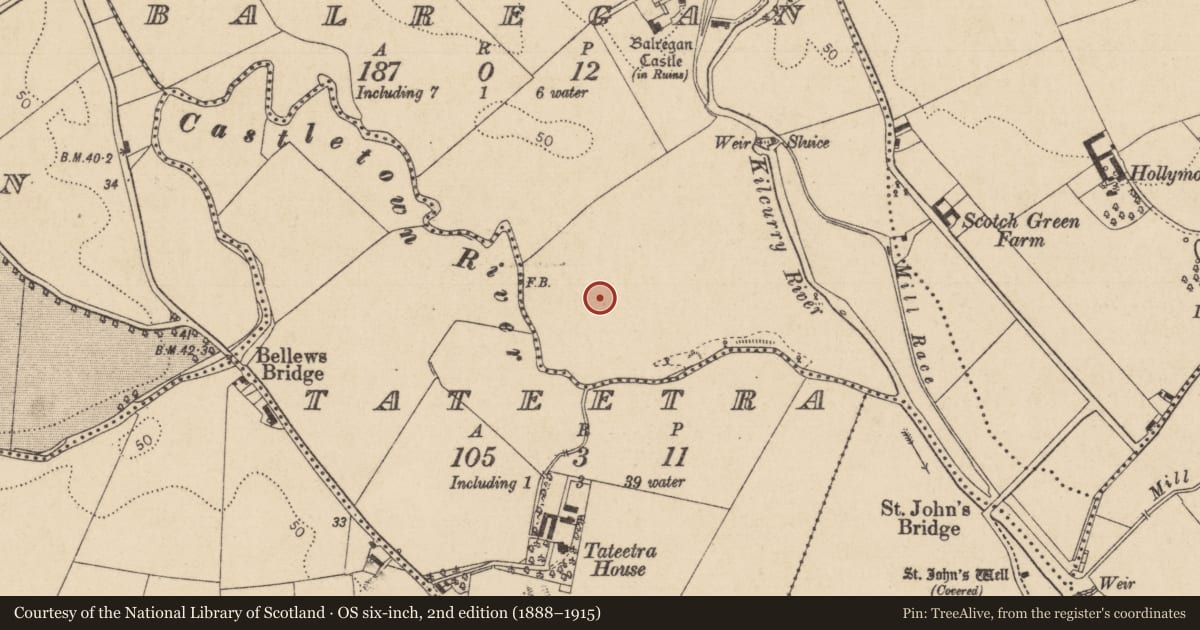 Ordnance Survey six-inch map, 2nd edition (1888–1915) covering the location of Standing stone, Balregan, County Louth, with a pin at the register's coordinates