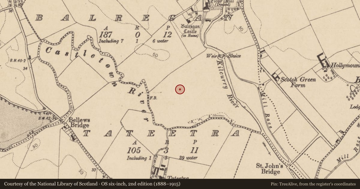 Ordnance Survey six-inch map, 2nd edition (1888–1915) covering the location of House - indeterminate date, Balregan, County Louth, with a pin at the register's coordinates