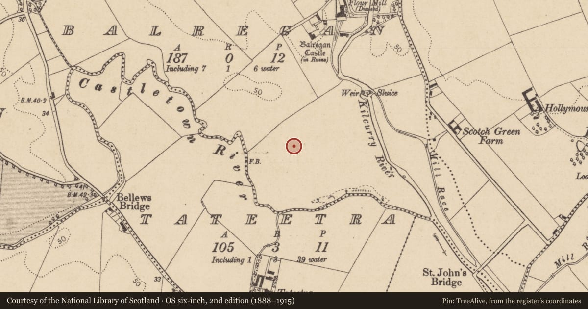 Ordnance Survey six-inch map, 2nd edition (1888–1915) covering the location of Standing stone, Balregan, County Louth, with a pin at the register's coordinates