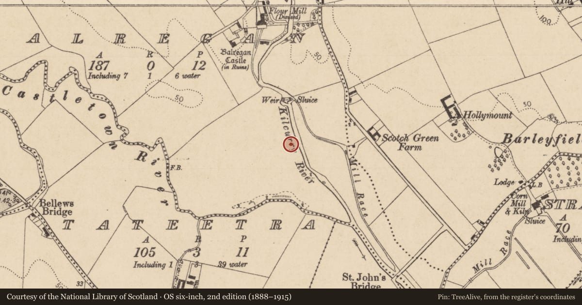 Ordnance Survey six-inch map, 2nd edition (1888–1915) covering the location of Standing stone - pair, Balregan, County Louth, with a pin at the register's coordinates