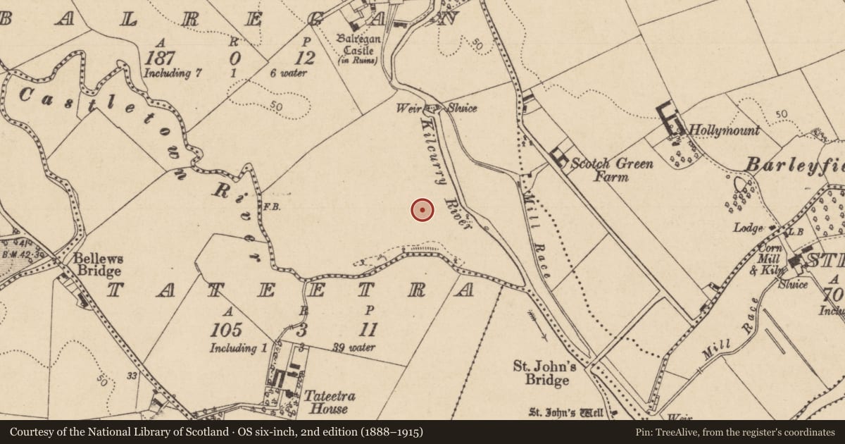 Ordnance Survey six-inch map, 2nd edition (1888–1915) covering the location of Standing stone, Balregan, County Louth, with a pin at the register's coordinates