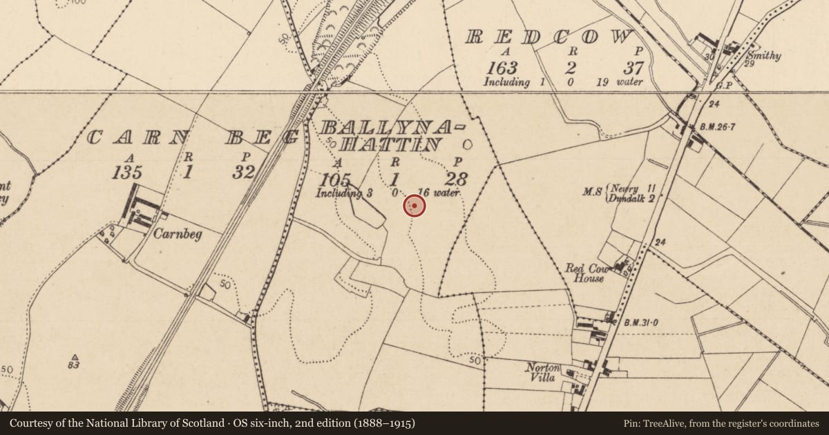 Ordnance Survey six-inch map, 2nd edition (1888–1915) covering the location of Ringfort - rath, Ballynahattin, County Louth, with a pin at the register's coordinates