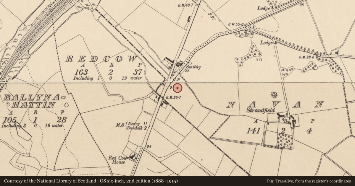 Ordnance Survey six-inch map, 2nd edition (1888–1915) covering the location of Fulacht fia, Faughart Lower, County Louth, with a pin at the register's coordinates