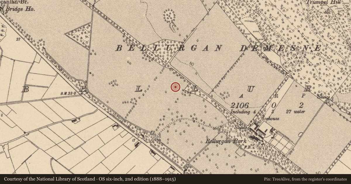 Ordnance Survey six-inch map, 2nd edition (1888–1915) covering the location of Enclosure, Bellurgan (Dundalk Lwr by, County Louth, with a pin at the register's coordinates