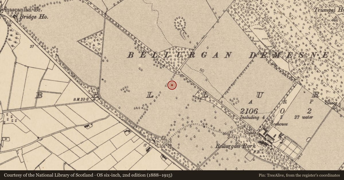 Ordnance Survey six-inch map, 2nd edition (1888–1915) covering the location of Ring-ditch, Bellurgan (Dundalk Lwr by, County Louth, with a pin at the register's coordinates