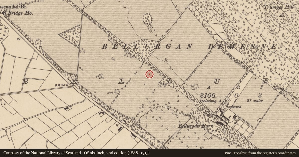 Ordnance Survey six-inch map, 2nd edition (1888–1915) covering the location of Enclosure, Bellurgan (Dundalk Lwr by, County Louth, with a pin at the register's coordinates