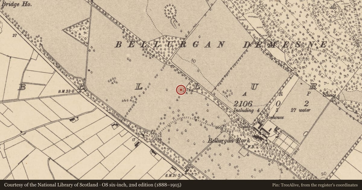 Ordnance Survey six-inch map, 2nd edition (1888–1915) covering the location of Enclosure, Bellurgan (Dundalk Lwr by, County Louth, with a pin at the register's coordinates