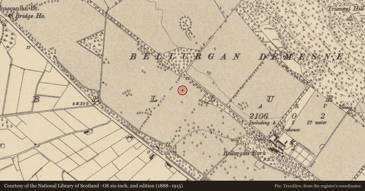 Ordnance Survey six-inch map, 2nd edition (1888–1915) covering the location of Enclosure, Bellurgan (Dundalk Lwr by, County Louth, with a pin at the register's coordinates
