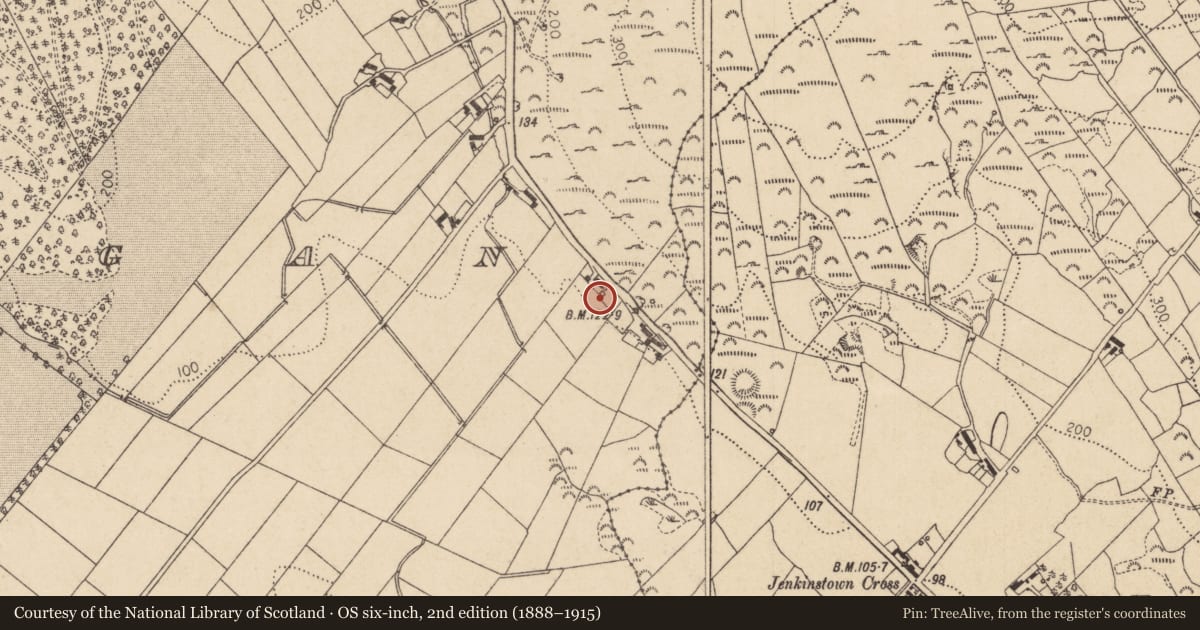 Ordnance Survey six-inch map, 2nd edition (1888–1915) covering the location of Souterrain, Bellurgan (Dundalk Lwr by, County Louth, with a pin at the register's coordinates