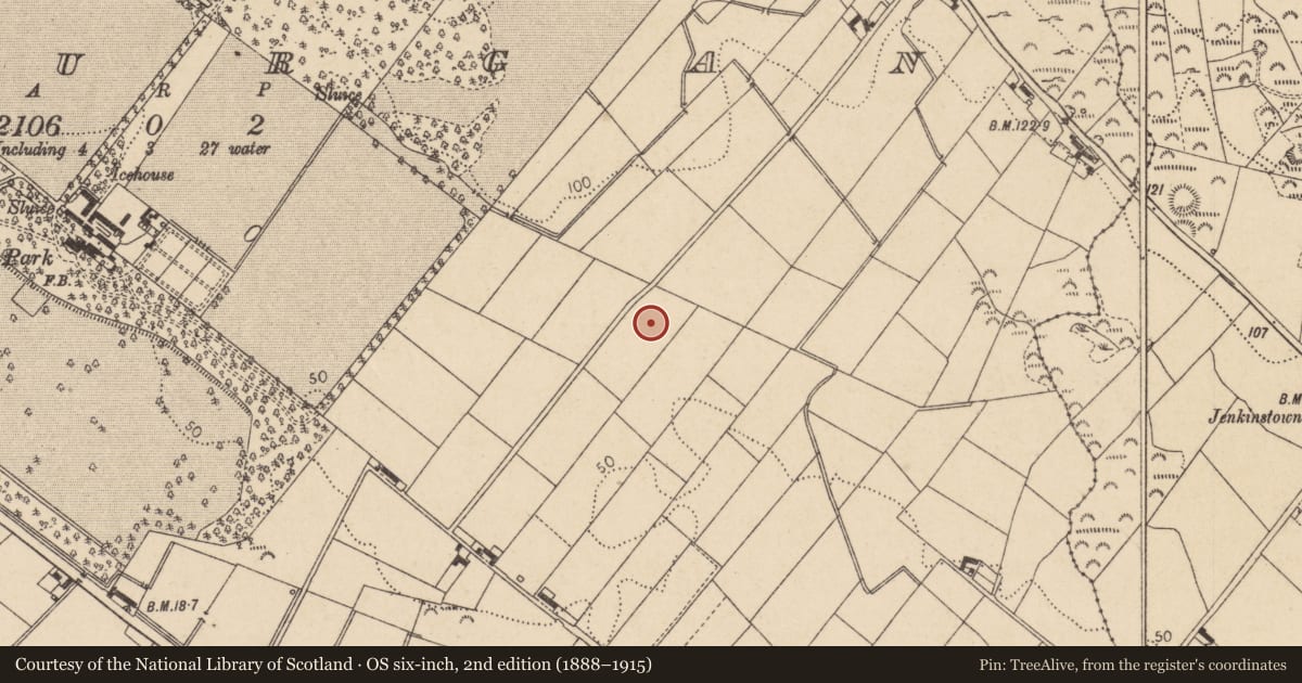 Ordnance Survey six-inch map, 2nd edition (1888–1915) covering the location of Ring-ditch, Bellurgan (Dundalk Lwr by, County Louth, with a pin at the register's coordinates