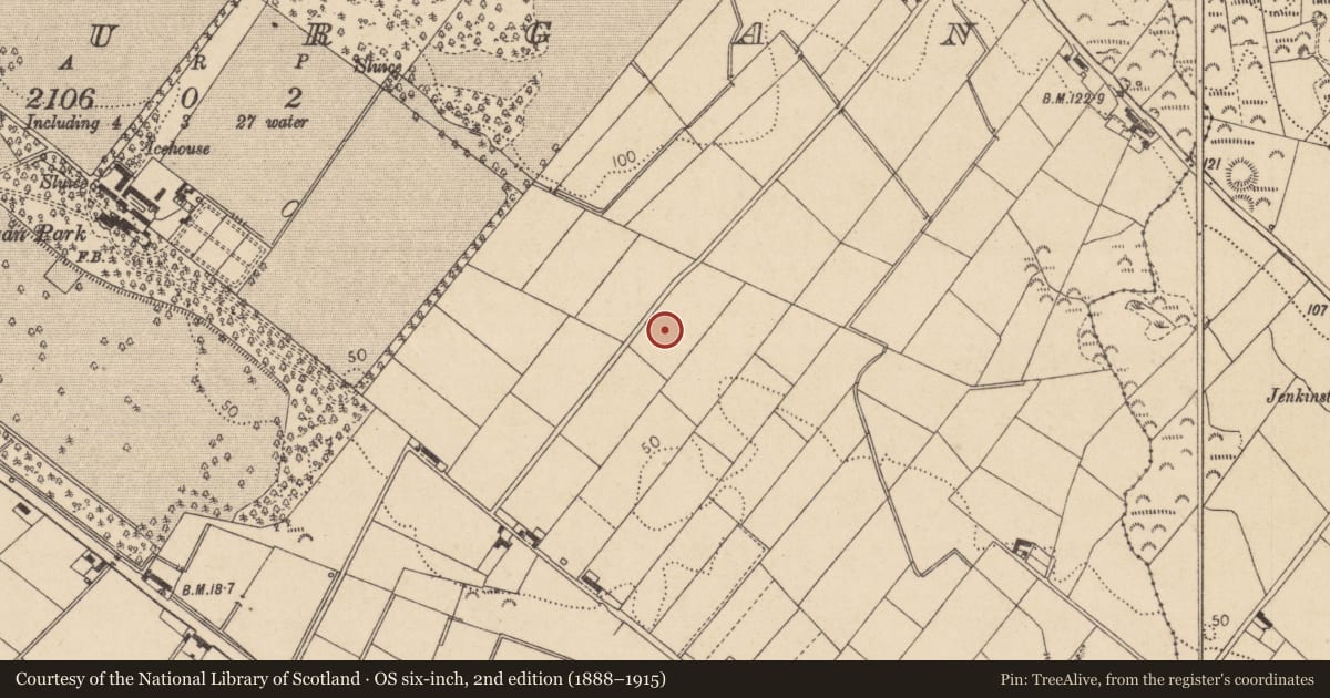 Ordnance Survey six-inch map, 2nd edition (1888–1915) covering the location of Enclosure, Bellurgan (Dundalk Lwr by, County Louth, with a pin at the register's coordinates