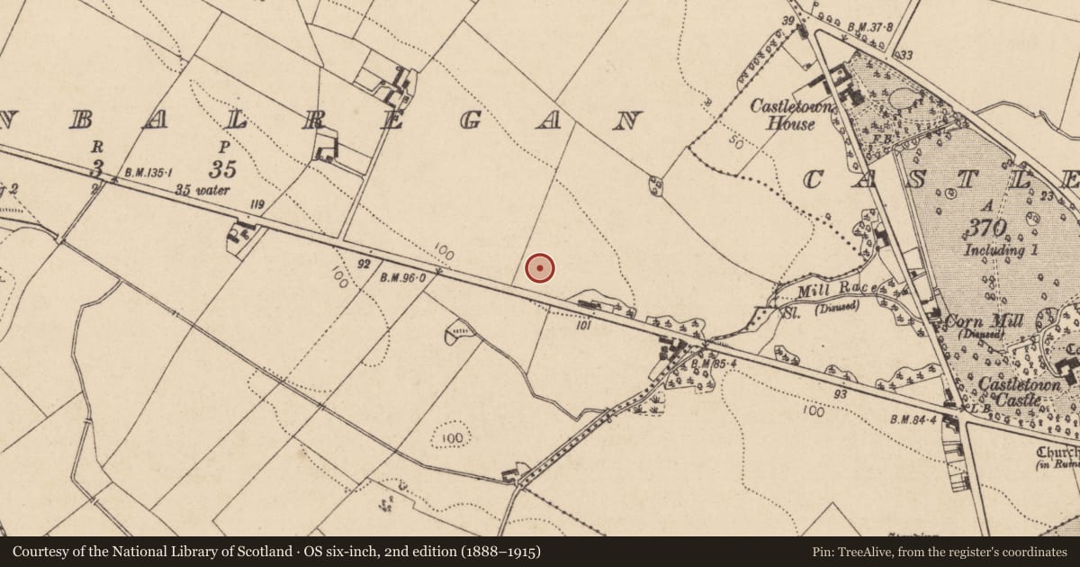 Ordnance Survey six-inch map, 2nd edition (1888–1915) covering the location of Souterrain, Newtownbalregan, County Louth, with a pin at the register's coordinates