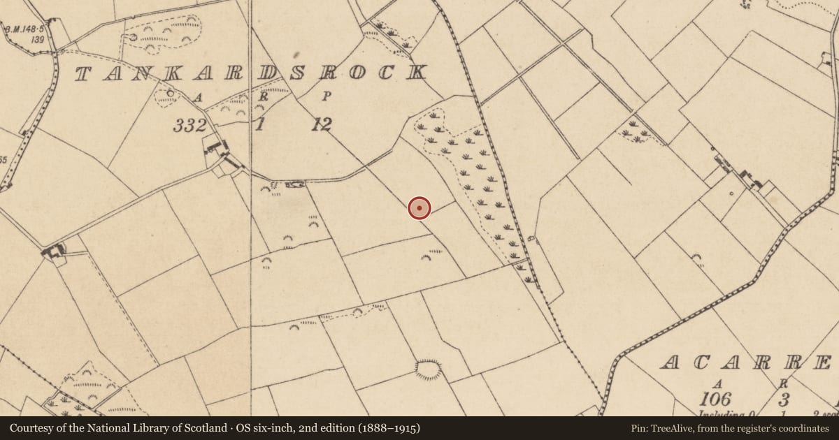 Ordnance Survey six-inch map, 2nd edition (1888–1915) covering the location of Souterrain, Tankardsrock, County Louth, with a pin at the register's coordinates